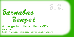 barnabas wenzel business card
